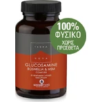TerraNova Glucosamine Boswellia & MSM Complex Suplemento para la salud de las articulaciones y los huesos 50 cápsulas vegetales