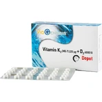 Viogenesis Vitamine K2 (MK-7) + Vitamine D3 Depotvitamine voor versterking immuunsysteem & ei-gezondheid 4000iu 60 tabletten