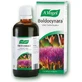 A.Vogel Boldocynara Tinktur 50ml