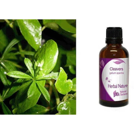 Teinture de colle 50ml Nature & Body