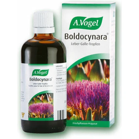 A.Vogel Boldocynara Tinctuur 50ml