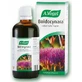 A.Vogel Boldocynara Tinctuur 50ml