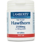Lamberts Espino Blanco 2500mg 60 comprimidos