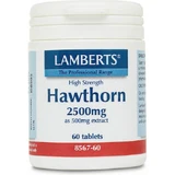 Lamberts Hawthorn 2500mg 60 files