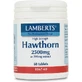 Lamberts Espino Blanco 2500mg 60 comprimidos