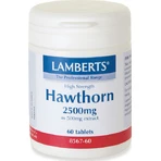 Lamberts Espino Blanco 2500mg 60 comprimidos