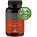 TerraNova Ginkgo Leaf 50 files