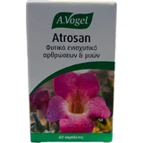 A.Vogel Atrosan Garra del Diablo 60 lima ''''
