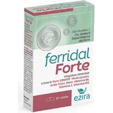 Ezira Ferridal Forte 30 Kapseln Kupfer