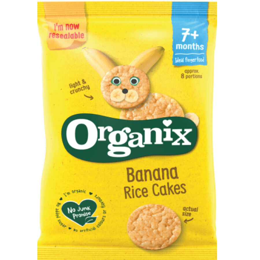 Bio organic rice balls with bananas and apples, +7 months, Organix