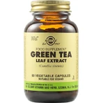 Solgar Extracto estandarizado de hoja de té verde (Camellia Sinensis) 500mg 60 cápsulas vegetales