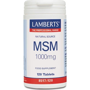 Lamberts Msm 1000mg Joint & Bone Health Supplement 120 tabs