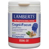 Lamberts Cogni-focus Galangal Food Supplement Special 30 caps