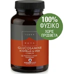 TerraNova Glucosamine Boswellia & MSM Complex Suplemento para la salud de las articulaciones y los huesos 100 cápsulas vegetales