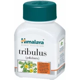 Himalaya Wellness Tribulus Gokshura 60 caps