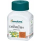 Himalaya Wellness Tribulus Gokshura 60 cáps.