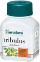 Himalaya Wellness Tribulus Gokshura 60 caps