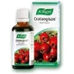 A.Vogel Crataegisan 50ml