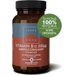 TerraNova Vitamin B12 Methylcobalamin-Komplex Vitamin für die Gesundheit des Nervensystems 500mcg 100 pflanzliche Kapseln