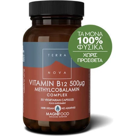 TerraNova Vitamin B12 Methylcobalamin-Komplex Vitamin für die Gesundheit des Nervensystems 500mcg 100 pflanzliche Kapseln