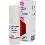 Nordaid B-Complex Vitamin Spray para reforzar la energía, el sistema inmunitario y el sistema nervioso 30ml