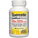 Natural Factors Quercetine LipoMicel Matrix 250mg 30 softgels Natuurlijk - Natural