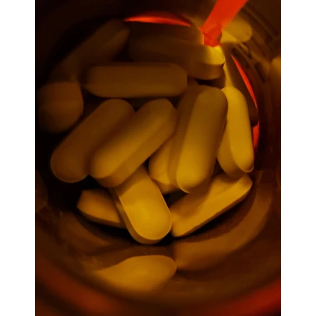 Quest Kyolic Garlic 600mg 30 files