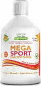 Swedish Nutra Mega Sport Multivitamin Multivitamin Multivitamin for Energy, Immune &amp; Nervous System Strengthening Orange 500ml
