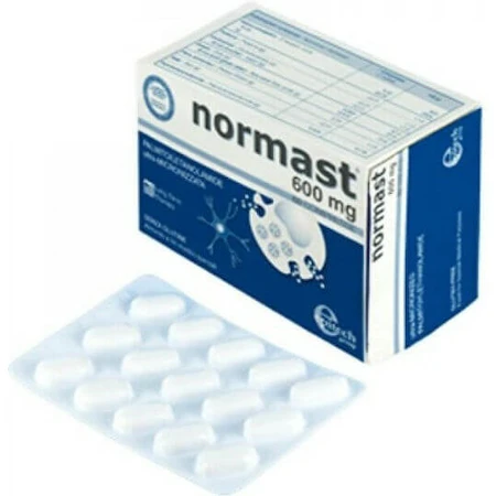 Epitech Normast 600mg Food Supplement Special 60 tabs