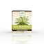 Wolfsmilch-Tee (Cretusca), 50 g, Dorel Plant