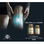 Solgar Meta-Flex Glucosamin Hyaluronsäure Chondroitin Msm Muschel frei Joint & Bone Health Supplement 60 Tabs