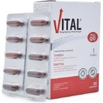 Vital Plus Q10 Multivitamin for Energy & Immune System Support 10mg 30 softgels