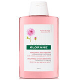Shampoo for irritated scalp with peony, 400 ml, Klorane