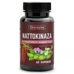Skoczylas Nattokinase Fermokinase® 2000 FU + monacolin + rutin, 60 capsules