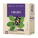 Schwarzer Johannisbeertee, 50 g, Dacia Plant Schwarzer Johannisbeertee, 50 g, Dacia Plant