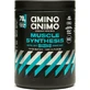 Physis Laboratorium Amino Animo Spier Synthese Biologisch Gluten- & Lactosevrij met Vanillesmaak 500gr