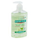 Antibacterial liquid soap with aloe vera and green tea, 250 ml, Sanytol