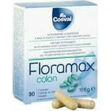 Cosval Floramax Colon Probiotic 30 gélules