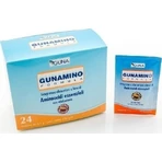 Guna Gunamino Formula 24 sachets. 24 sachets non aromatisés