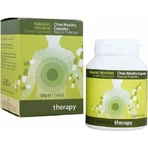 PharmaQ MastihaTherapie, 90 Kapseln