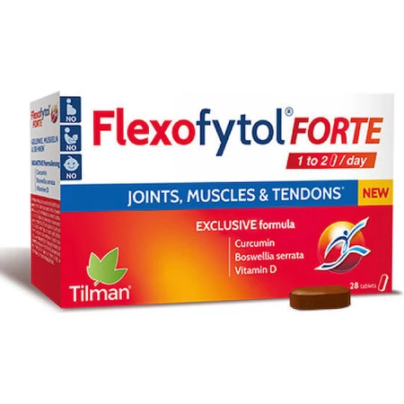 Tilman Flexofytol Spezial Nahrungsergänzungsmittel 28 Tabs