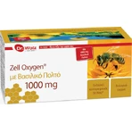 Dr Wolz Royal Jelly voor energie, versterking immuunsysteem & haar 1000mg 280ml
