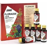 Salus Haus Floradix Vloeibare IJzerformule 200ml