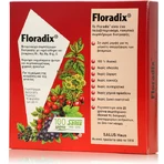 Salus Haus Floradix Flüssigeisen Formel 200ml