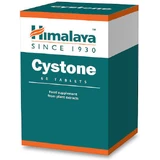 Himalaya Wellness Cystone Speciaal Dieetsupplement 60 tabs