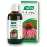 A.Vogel Echinaforce Echinacea Tintura Echinacea Gotas de Resistencia 50ml
