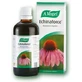 A.Vogel Echinaforce Echinacea Tinktur Echinacea Widerstandstropfen 50ml