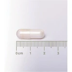 Lamberts Neuro-Logical Pea Special Dietary Supplement 60 caps