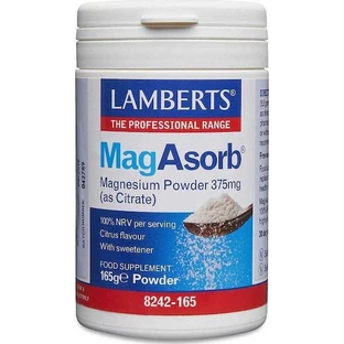 Lamberts MagAsorb 375mg 165g