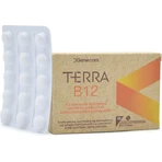 Genecom Terra B12 Vitamina para la Salud del Sistema Nervioso Naranja 30 comprimidos masticables